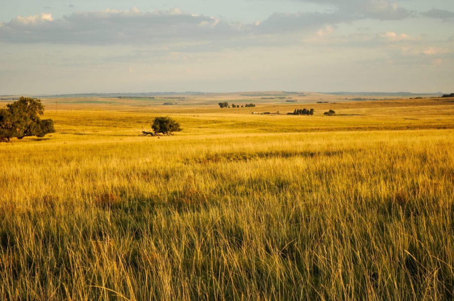 Commercial Property for Sale in Reitz Free State